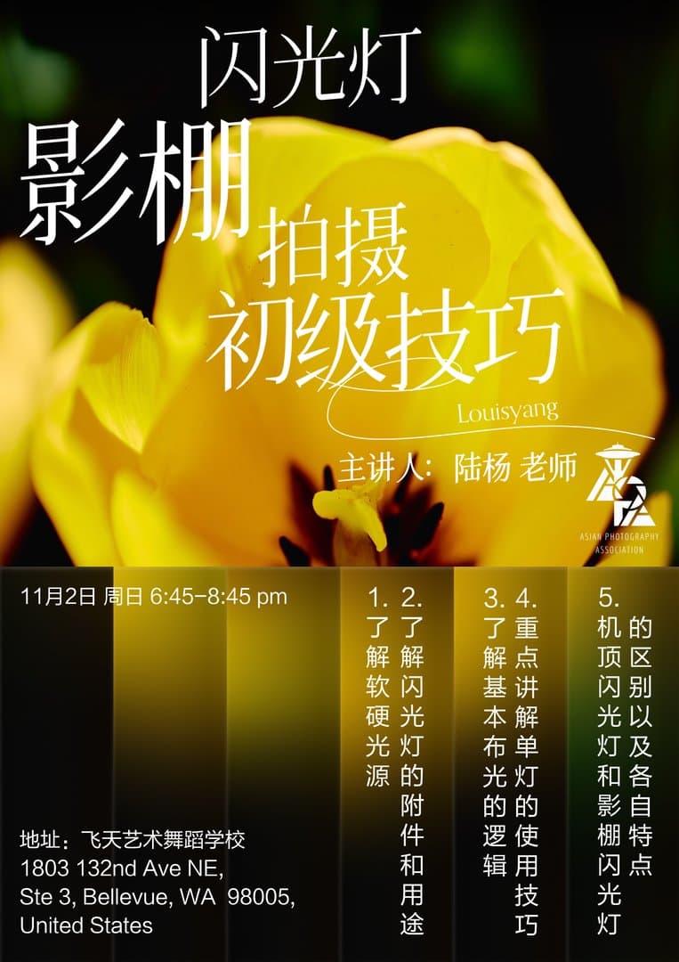 Beginner Tips for Flash Photography in the Studio